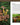 9789189371323_6